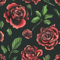 rot schwarz Rose Blumen mit Grün Blätter und Knospen, schick, hell, schöne. Hand gezeichnet Aquarell Illustration. nahtlos Muster auf ein dunkel Hintergrund, zum Dekoration und Design vektor