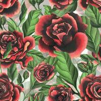 rot schwarz Rose Blumen mit Grün Blätter und Knospen, schick, hell, schöne. Hand gezeichnet Aquarell Illustration. nahtlos Muster auf ein Weiß Hintergrund, zum Dekoration und Design vektor