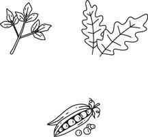 Hand gezeichnet Gemüse im abstrakt Design. isoliert auf Weiß Hintergrund. Vektor Illustration.