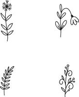 Hand gezeichnet Blätter mit Gekritzel Design. isoliert auf Weiß Hintergrund. Vektor Illustration.