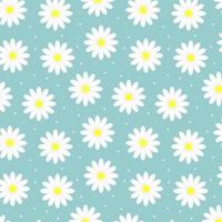 nahtloses Muster mit Kamillenblüten auf blauem Hintergrund. Gänseblümchenblumen Blumenverzierung. Vektor-Illustration. vektor