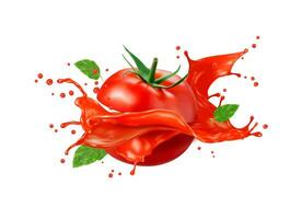 Tomate Soße Saft, beschwingt Vektor Bohnenkraut Elixier