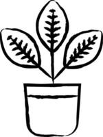 Croton Pflanze Hand gezeichnet Vektor Illustration