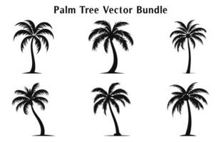 Palme Bäume Vektor Silhouetten einstellen isoliert auf ein Weiß Hintergrund, tropisch Palme Bäume bündeln