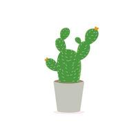 kaktus ikoner i en platt stil på en vit bakgrund. Hem växter kaktus i kastruller och med blommor. en mängd av dekorativ kaktus med taggar och utan. vektor