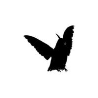 fliegend Kolibri Silhouette, können verwenden Kunst Illustration, Webseite, Logo Gramm, Piktogramm oder Grafik Design Element. Vektor Illustration