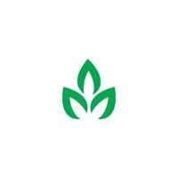 Grün Blatt Logo Symbol vektor