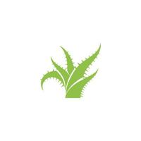 aloe vera-logotyp vektor