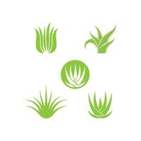 Aloe Vera-Logo vektor