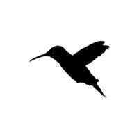 fliegend Kolibri Silhouette, können verwenden Kunst Illustration, Webseite, Logo Gramm, Piktogramm oder Grafik Design Element. Vektor Illustration