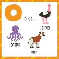 Lernen Englisch Alphabet zum Kinder. Brief Ö. süß Karikatur Tintenfisch Okapi Strauß. vektor