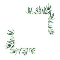 oliv träd fyrkant ram. svart oliver och grenar. hand dragen vattenfärg botanisk illustration. kan vara Begagnade för kort, logotyper och kosmetisk design. vektor