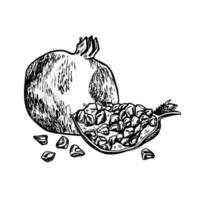 ganze und Scheibe von Granatapfel Frucht, Hand gezeichnet schwarz und Weiß Grafik Vektor Illustration. isoliert auf ein Weiß Hintergrund. zum Verpackung, Drucken Produkte, Banner und Menüs, Textilien und Plakate.