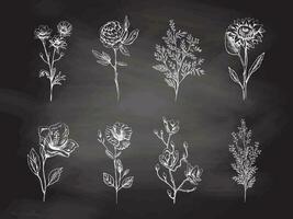 ritad för hand blommig skiss uppsättning. svartvit blomma klotter. svart och vit årgång element. vektor skiss. detaljerad retro stil.