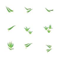 Aloe Vera Logo Illustration Design-Vorlage vektor