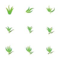 aloe vera logotyp illustration formgivningsmall vektor