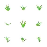 aloe vera logotyp illustration formgivningsmall vektor