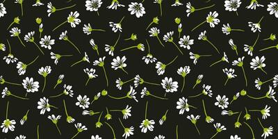 ljus, söt, abstrakt blommor mönster. sömlös vit blommig fält på en svart bakgrund. vektor hand dragen skiss kamomiller. design prydnad för papper, omslag, tyg, interiör dekor, textil-