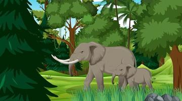 elefantmamma och bebis i skog eller regnskog med många träd vektor