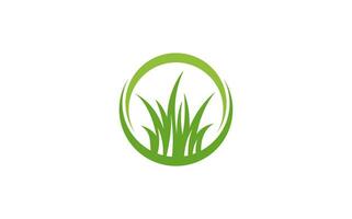 gräs gräsmatta vård logotyp design vektor