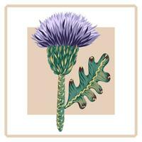 dekorativ blomma. vektor ritad för hand illustration. botanisk, blommig grafisk element för vykort, affischer, mönster och grafik