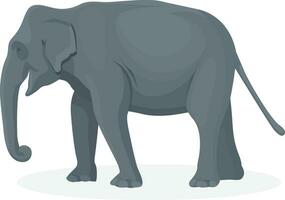 elefant gående illustration, djur, elefant på de Zoo vektor