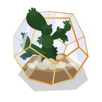 vektor illustration med en glas terrarium av en florarium markerad i de bakgrund. kaktus i en geometrisk blomma pott i en platt stil. de växt är i en gyllene glas bur, en behållare. isolerat