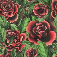 rot schwarz Rose Blumen mit Grün Blätter und Knospen, schick, hell, schöne. Hand gezeichnet Aquarell Illustration. nahtlos Muster auf ein dunkel Hintergrund, zum Dekoration und Design. vektor