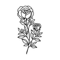 Jahrgang Hand gezeichnet Rose Blumen- und Blatt Ast Vektor Linie Kunst Illustration