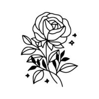 Jahrgang Hand gezeichnet Rose Blumen- und Blatt Ast Vektor Linie Kunst Illustration