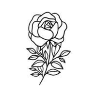 Jahrgang Hand gezeichnet Rose Blumen- und Blatt Ast Vektor Linie Kunst Illustration