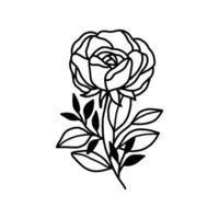 Jahrgang Hand gezeichnet Rose Blumen- und Blatt Ast Vektor Linie Kunst Illustration