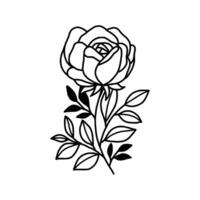 Jahrgang Hand gezeichnet Rose Blumen- und Blatt Ast Vektor Linie Kunst Illustration