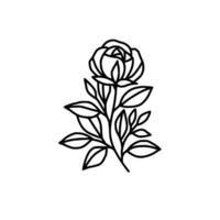 hand dragen reste sig blomma och blad gren linje konst vektor illustration design