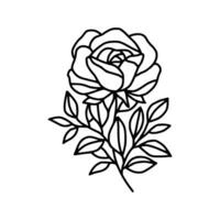 Jahrgang Hand gezeichnet Rose Blumen- und Blatt Ast Vektor Linie Kunst Illustration