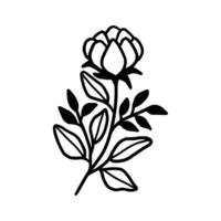 Jahrgang Hand gezeichnet Pfingstrose Blume Linie Kunst Vektor Element