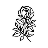 hand dragen reste sig blomma och blad gren linje konst vektor illustration design