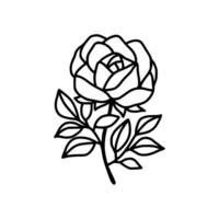 Hand gezeichnet Rose Blume und Blatt Ast Linie Kunst Vektor Illustration Design