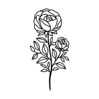 Hand gezeichnet Rose Blume und Blatt Ast Linie Kunst Vektor Illustration Design