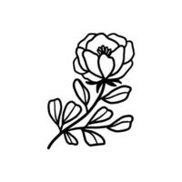 Jahrgang Hand gezeichnet Pfingstrose und Rose Blume Linie Kunst Vektor Illustration Element