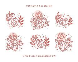 Sammlung von Hand gezeichnet magisch Elemente mit Kristall, Rose Blumen, Sterne, Blatt Ast zum feminin Symbol, Schönheit Logo, Emblem, und andere Zwecke vektor
