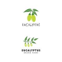 eucalyptus lämnar logotypen vektor mall design illustration