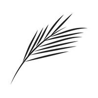 Blatt Palme Logo Vektor Vorlage Symbol und Design