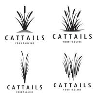 cattails eller flod vass gräs växt logotyp design, vatten- växter, träsk, vild gräs vektor