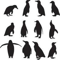 ein Gruppe von Pinguine Silhouette Vektor Satz.