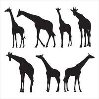 Reihe von Vektorsilhouetten von Giraffen vektor