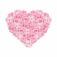 Aquarell Rosa Rosen mit Liebe gestalten Zeichnung Digital Gemälde zum Valentinstag Tag Karte oder staubig Rosa Hochzeit Strauß vektor