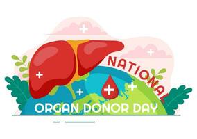 National Organ Spender Tag Vektor Illustration auf 14 Februar mit Nieren, Herz, Lunge oder Leber zum Transplantation und Gesundheitswesen im eben Hintergrund