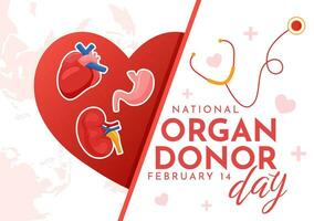 National Organ Spender Tag Vektor Illustration auf 14 Februar mit Nieren, Herz, Lunge oder Leber zum Transplantation und Gesundheitswesen im eben Hintergrund