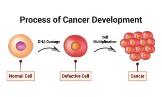 vanligt cell och defekta ring upp och cancer cell design vetenskap vektor illustration